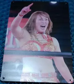 Sareee 女子プロレス　メタルポートレート　Ａ4サイズ