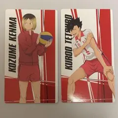 ハイキュー!! 黒尾鉄朗 孤爪研磨 特典 カード
