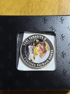 Item thumbnail for item 91c78e27-bb16-4a6f-94d5-58200313f7a5