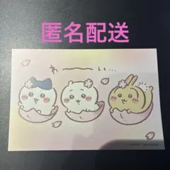 ちいかわ　ノベルティ　さくら　オリジナルポストカード　ハチワレ　うさぎ