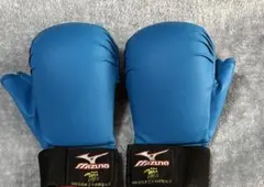 Item thumbnail for item 2dd4dd64-eb49-4efc-9d7b-cd19d8adbb20