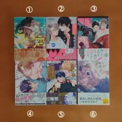 サイン本★あおいれびん★直筆イラスト 直筆サイン 肉筆 BL ボーイズラブ 万有 やいび 直筆イラストサイン本「BLモブのお仕事」