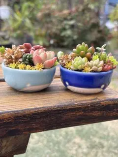 ひーちゃん様 リクエスト 2点 まとめ商品