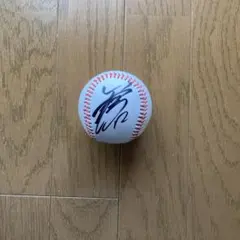 メル24406様 リクエスト 2点 まとめ商品