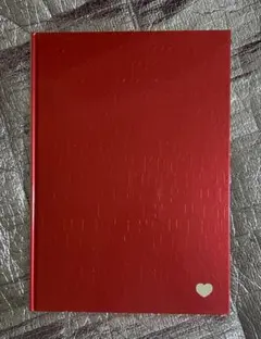 kinki Kids 緊急コン kinki you パンフレット（赤）