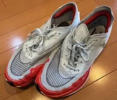 29.0センチ　ズームヴェイパーフライnext％2 メンズランニングシューズ