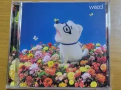 wacci キラメキ