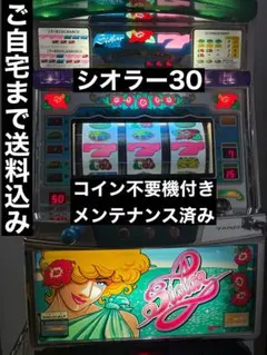 2026年最新】シオラーの人気アイテム - メルカリ