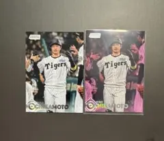 2026 NPB topps stadium club 近本光司 07/75 - メルカリ