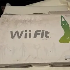 Wiifgt本体