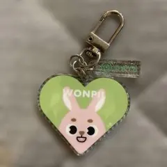 ウォンピル　WONPIL　ぬい　アクスタ　セット ウォンピル WONPIL ぬい アクスタ セット HIKAKIN & SEIKIN