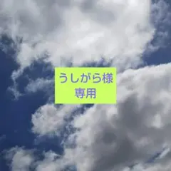 うしがら様 リクエスト 3点 まとめ商品