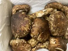 蕎麦屋のアキちゃん様専用 天然松茸 つぼみS 箱入り約1kg ✖️3 - メルカリ