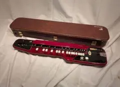 2025年最新】スズキ 大正琴 蘭の人気アイテム - メルカリ