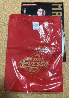 大阪エヴェッサ バスケットボール