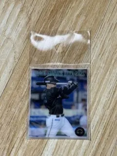 千葉ロッテマリーンズ 岡大海