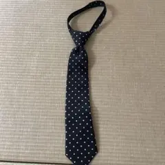 Item thumbnail for item 1578de40-d8c4-46d4-abd0-a18e92ffac2f