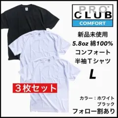 新品未使用 プロクラブ 5.8oz コンフォート 無地半袖Tシャツ 白黒3枚 L