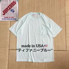 希少 90s USA製 ジャージーズ ティファニーブルー ポケt 無地 XL