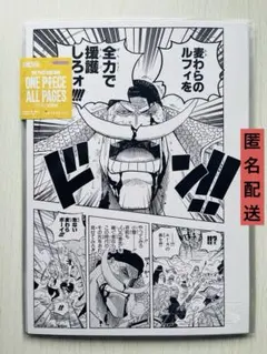ONE PIECE BASE SHOP ALLPAGES ロー キッド - メルカリ
