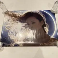 【プレミア/非売品/超レア品】安室奈美恵　BEST FICTION エプロン プレミア/非売品/超レア品】安室奈美恵 BEST FICTION エプロン