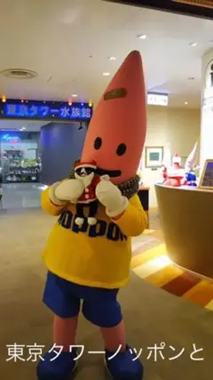 はなこ様専用です