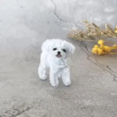 モールアート　犬　マルチーズ　立ち