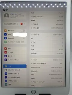 美品　iPad Air 2 Cellular 16GB バッテリー99.9%