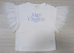 【ALGY】シフォンフリルスリーブTシャツ