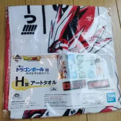 一番くじ ドラゴンボールEX 地球を守る戦士たち H賞 アートタオル