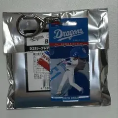 中日ドラゴンズ　上林誠知　ブリスダズ　D25シークレット