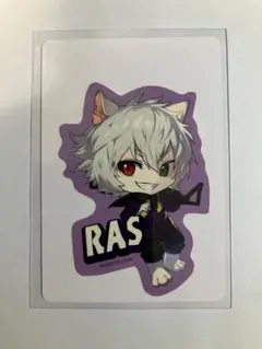 Crazy Raccoon グミ Ras