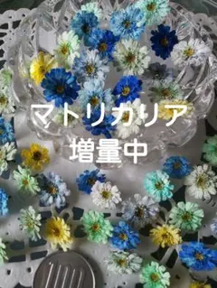 hiro_yukie03様 リクエスト 2点 まとめ商品