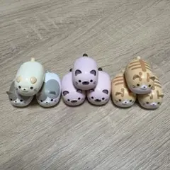 ごろねこサミット バスボール マスコット 9匹 セット