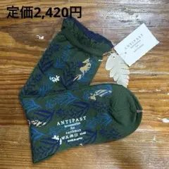 ANTIPAST accessories for earthman ソックスのサムネイル