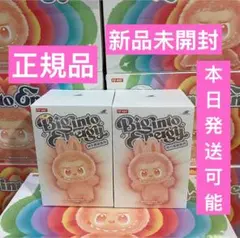 【正規品・未開封】Labubu Big into Energy 2箱
