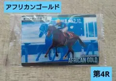 サラブレッドホースコレクション 第4R アフリカンゴールド