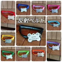 Item thumbnail for item 244e8820-c9c8-4151-b63a-c4b600479950