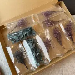 ドライフラワーセット 8個セット