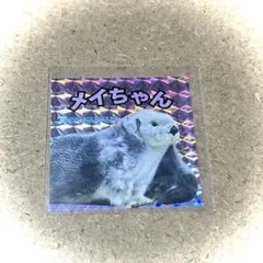 鳥羽水族館 ホログラムシール ラッコ メイちゃん ステッカー