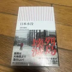 日本水没