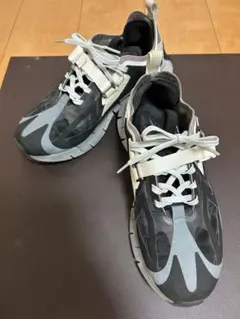 nk-1883.Reebok ZIG KINETICA IAN PALEY