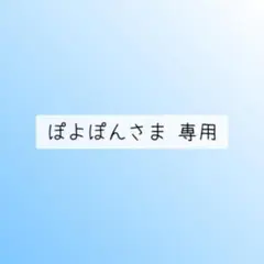 ぽよぽんさま 専用②