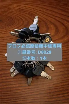 プロフ必読断捨離中様専用 ①鍵番号: D8028 ②本数：1本