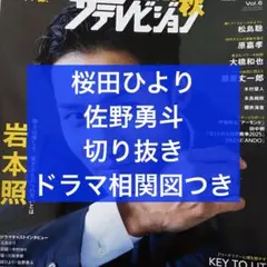 ザテレビジョン 2025秋 桜田ひより＆佐野勇斗 切り抜き＋ドラマ相関図