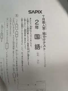 2026年最新】サピックステスト2年生の人気アイテム - メルカリ