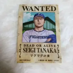 北海道日本ハムファイターズ ONEPIECE手配書風ステッカー 田中正義