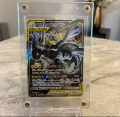 2025年最新】ピカチュウ&ゼクロム srの人気アイテム - メルカリ