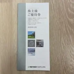 東急不動産ホールディングス　株主優待券　送料無料