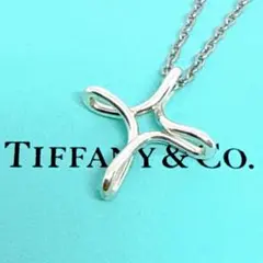 【美品 社外チェーン】TIFFANY&Co. インフィニティ クロス ネックレス